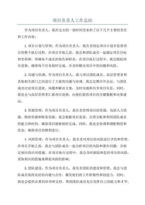 项目负责人工作总结