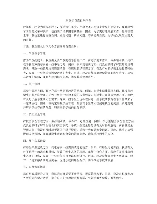 副校长自查自纠报告