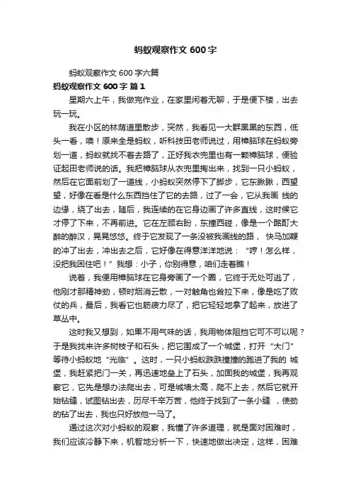 蚂蚁观察作文600字六篇