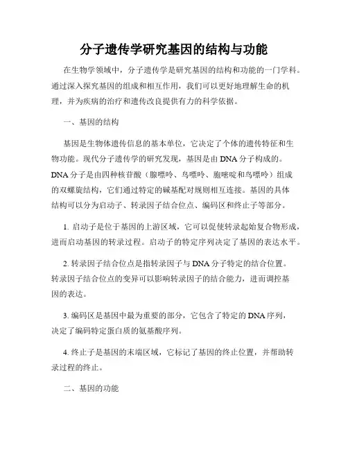 分子遗传学研究基因的结构与功能