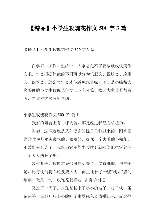 【精品】小学生玫瑰花作文500字3篇