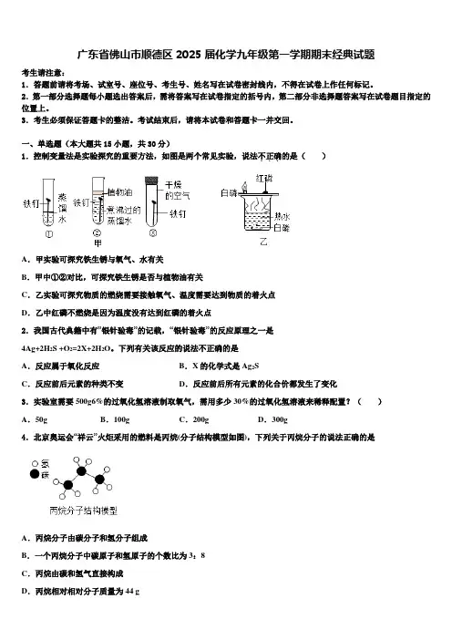 广东省佛山市顺德区2025届化学九年级第一学期期末经典试题含解析