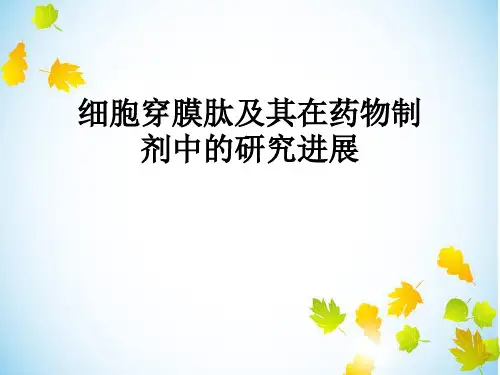 细胞穿膜肽;结构特点;内化机制.