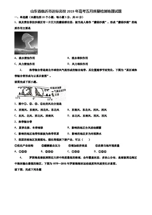 山东省临沂市达标名校2019年高考五月质量检测地理试题含解析