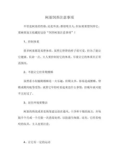 柯基饲养注意事项