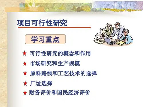 项目可行性研究