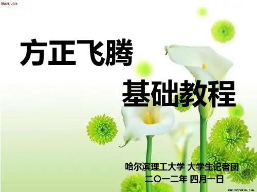 方正飞腾基础教程