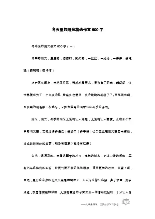 冬天里的阳光精选作文600字