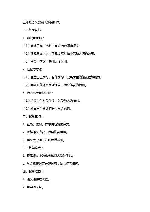 三年级语文教案 小摄影师