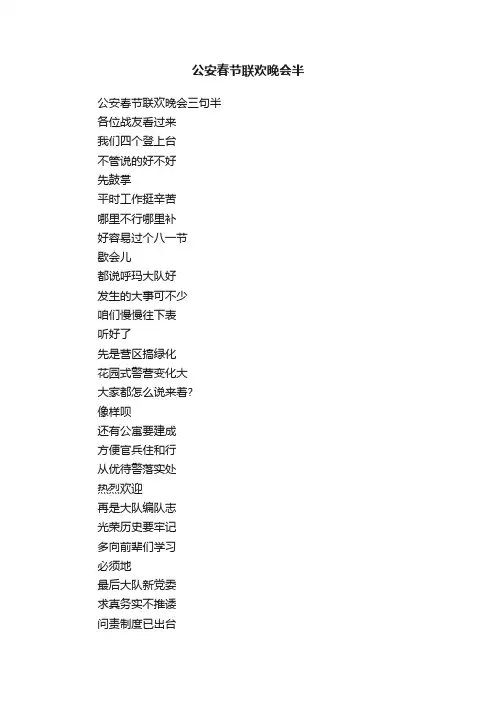 公安春节联欢晚会半