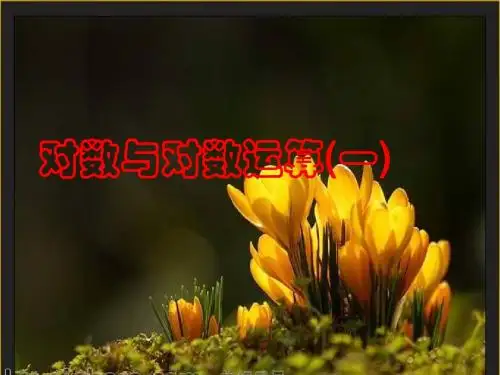 对数及其运算性质