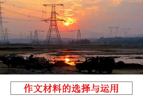 【精品】作文材料的选择与运用PPT课件