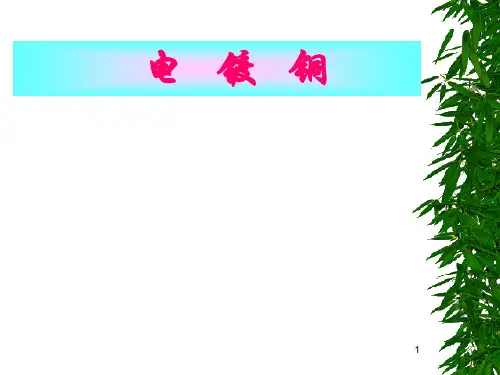 电镀铜PPT课件