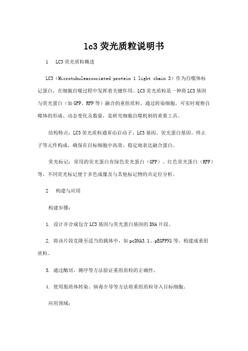 【商品说明书】lc3荧光质粒说明书