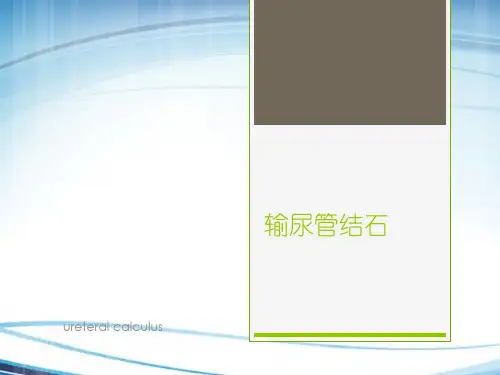 输尿管结石的护理PPT课件
