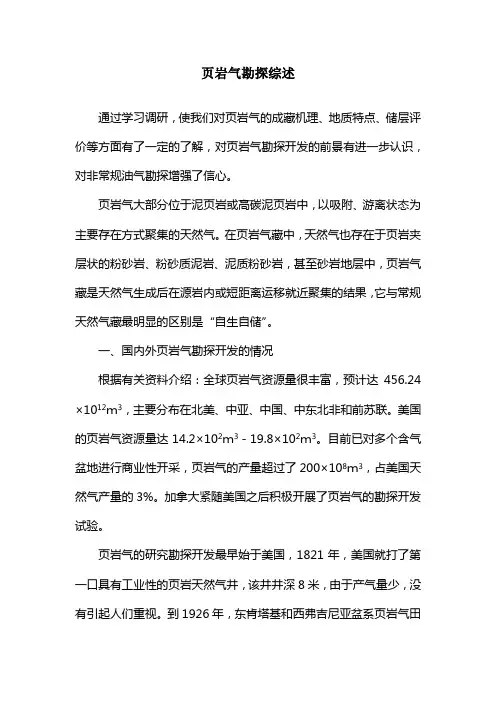 页岩气勘探综述