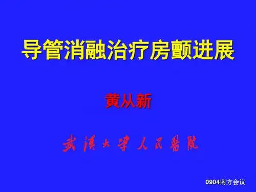 导管消融治疗房颤进展_黄从新-精品文档55页