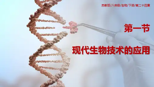 现代生物技术的应用-八年级生物下册课件(苏教版八年级下册)