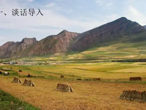 语文人教版四年级下册24《麦哨》