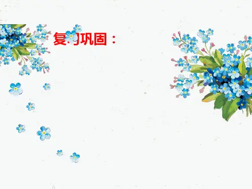 人教版高中政治必修四：在实践中追求和发展真理优秀ppt课件