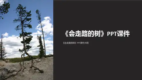 《会走路的树》课件