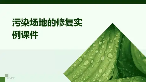 污染场地的修复实例课件(2024)