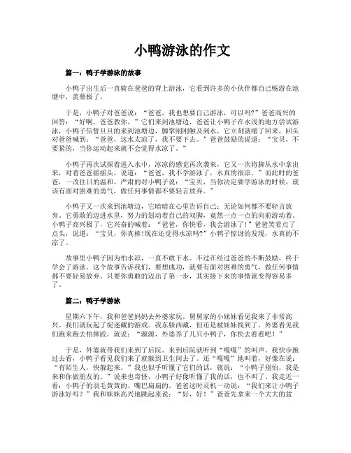 小鸭游泳的作文