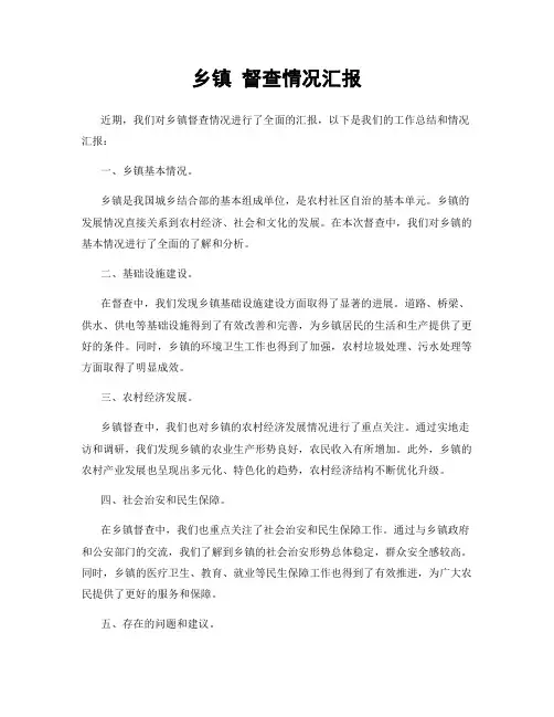 乡镇 督查情况汇报