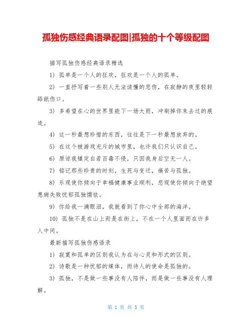 孤独伤感经典语录配图-孤独的十个等级配图