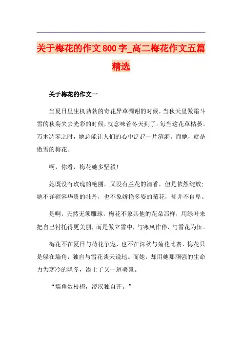关于梅花的作文800字_高二梅花作文五篇精选