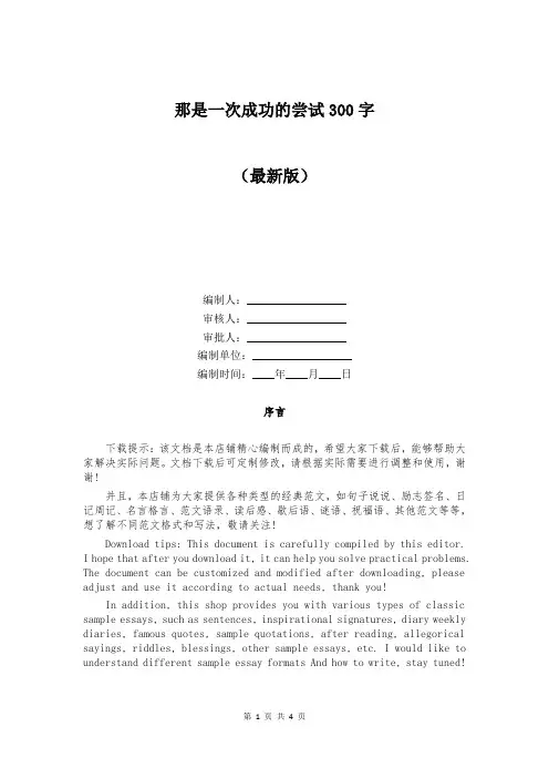 那是一次成功的尝试300字