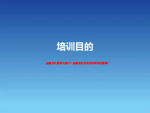 金融危机授课内容ppt-金融危机对经济和财政的影响