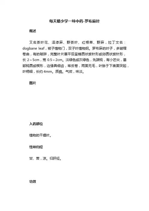 每天最少学一味中药-罗布麻叶