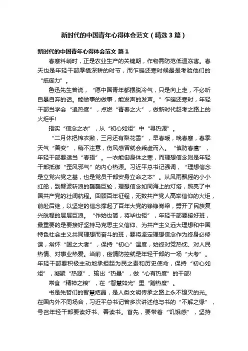 新时代的中国青年心得体会范文（精选3篇）