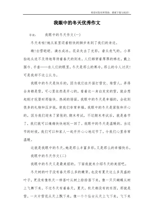 我眼中的冬天优秀作文_1