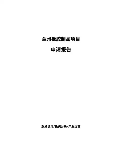 兰州橡胶制品项目申请报告