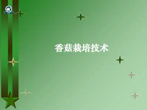香菇技术精品PPT课件