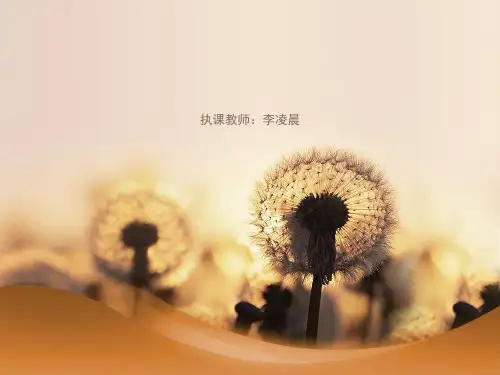 中国龙课件
