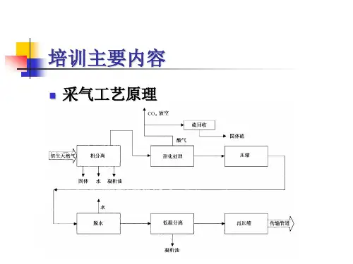 气井采气工艺介绍(详细版本)