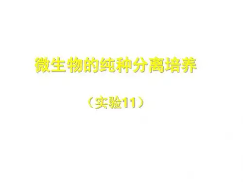 高二生物微生物的分离和纯培养(201909)