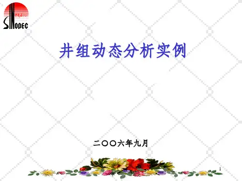 井组动态分析实例.ppt  (09.3)PPT课件