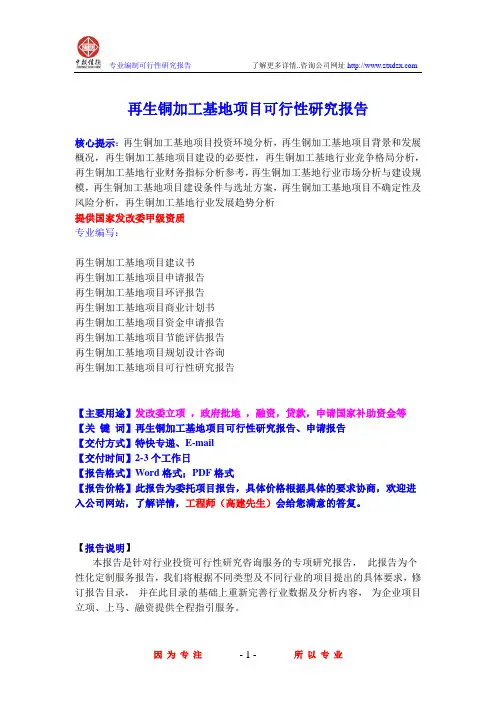 再生铜加工基地项目可行性研究报告