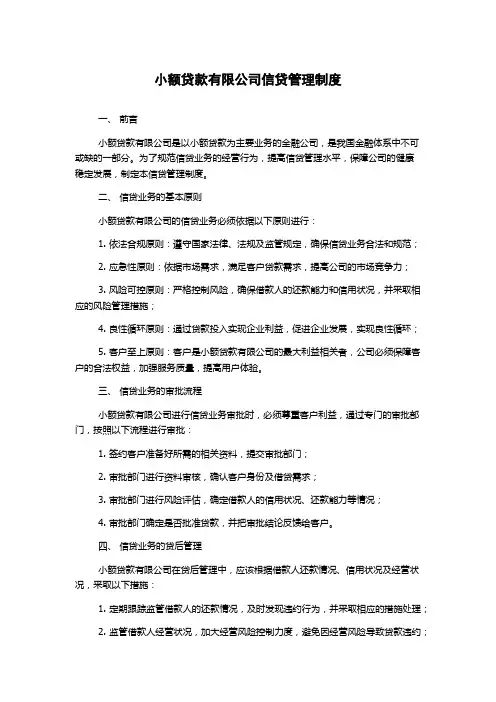 小额贷款有限公司信贷管理制度