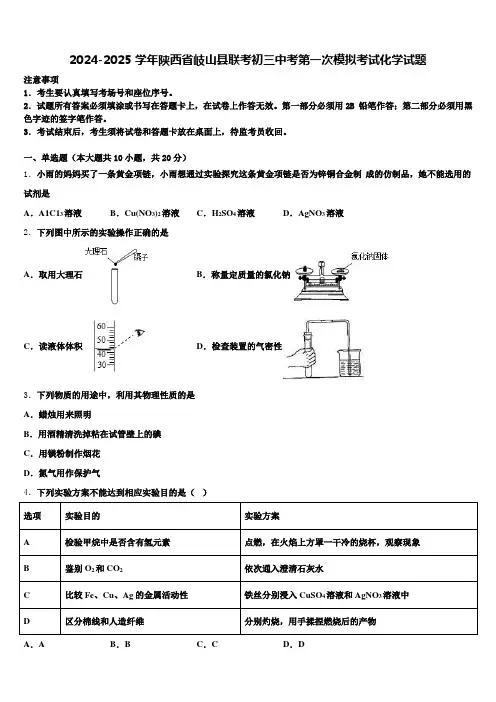 2024-2025学年陕西省岐山县联考初三中考第一次模拟考试化学试题含解析