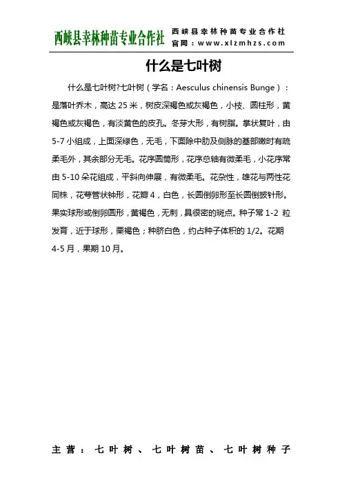 什么是七叶树