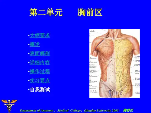 局部解剖胸前区