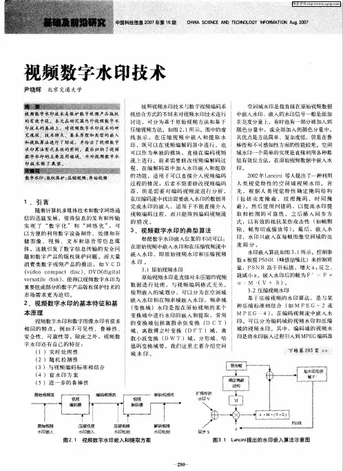 视频数字水印技术