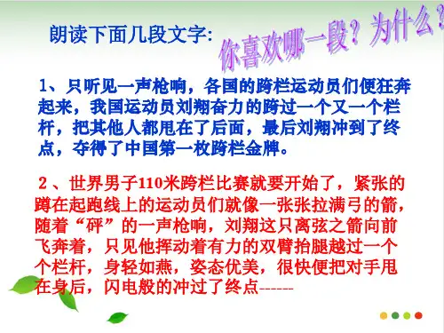 作文指导之细节描写 ppt课件(完美版)