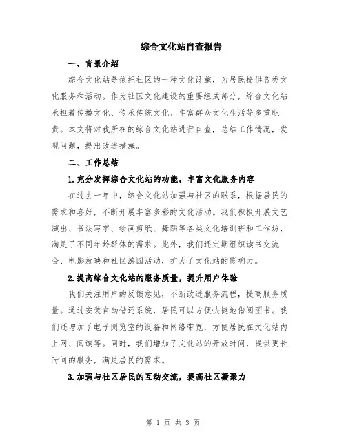 综合文化站自查报告