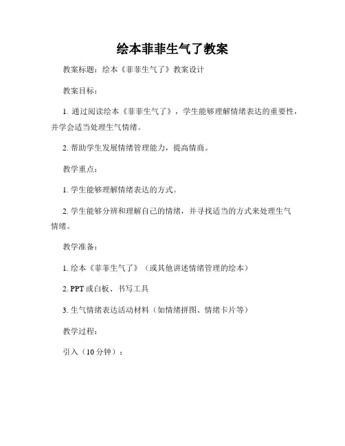 绘本菲菲生气了教案